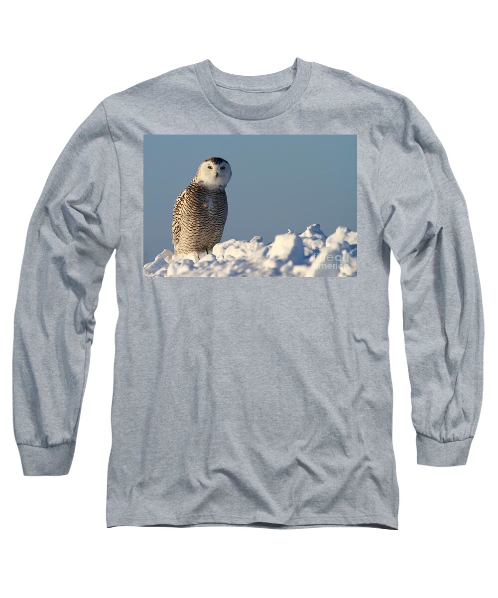 Snowy Owls Long Sleeve T-Shirt featuring the photograph You are my focus by Heather King