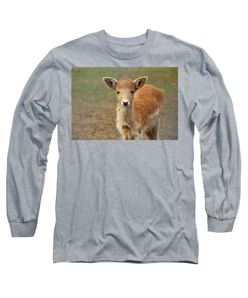 Animal Long Sleeve T-Shirt featuring the photograph Young And Sweet by Cynthia Guinn