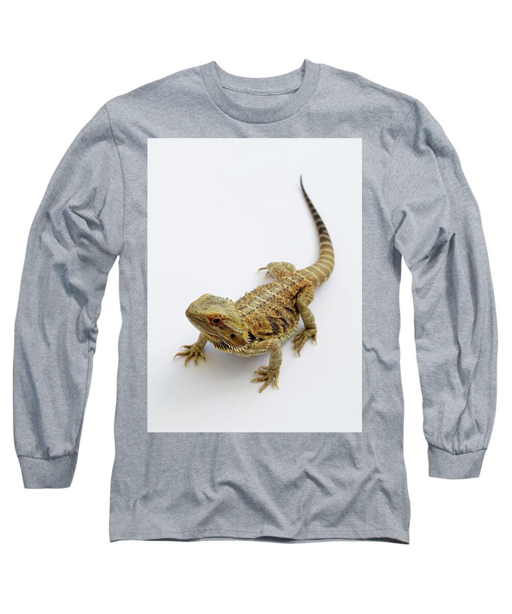 Lizard Long Sleeve T-Shirt featuring the photograph Bearded Dragon Lizard #1 by Nathan Abbott