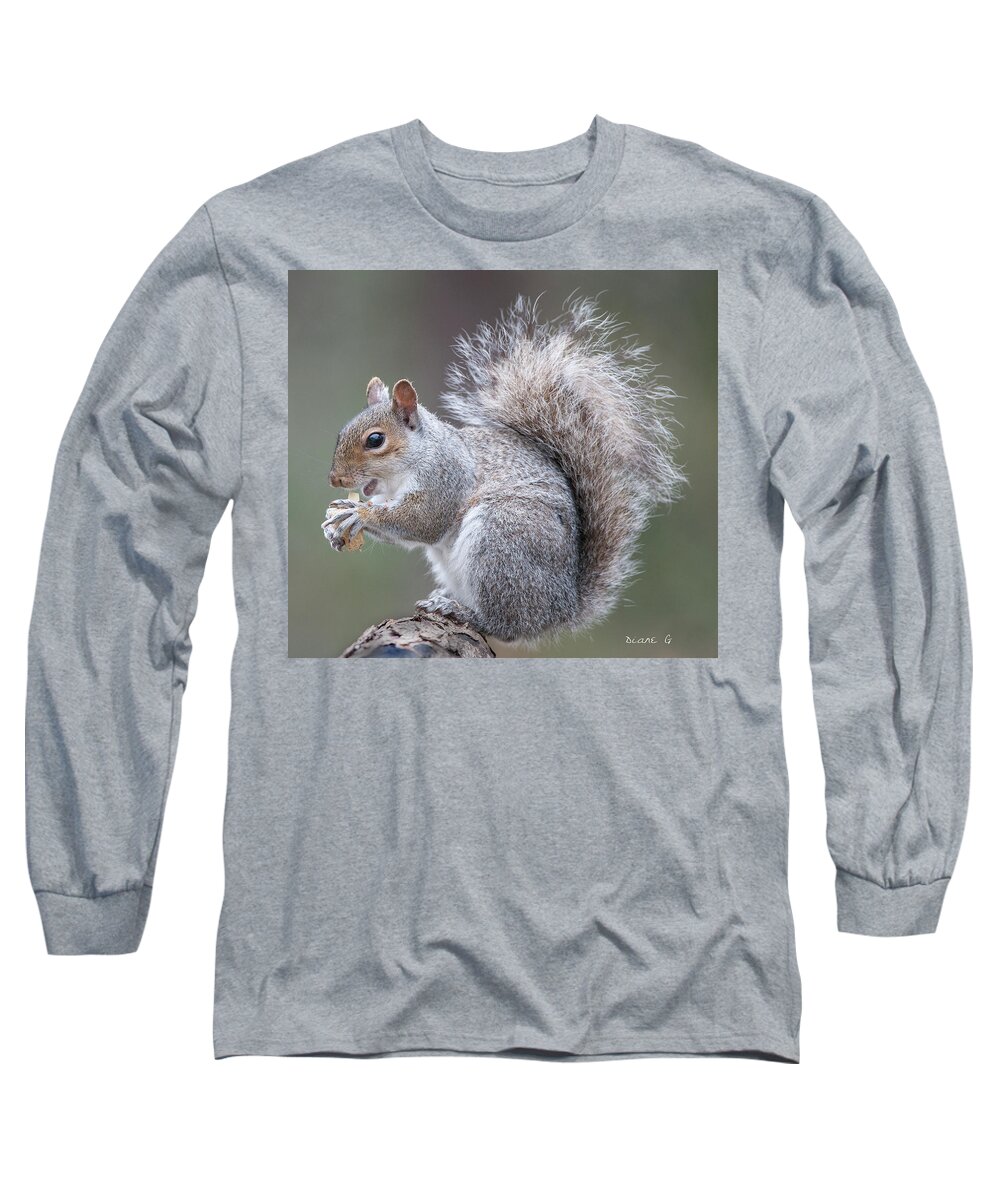 Eastern Grey Squirrel Long Sleeve T-Shirt featuring the photograph Eastern grey Squirrel #1 by Diane Giurco
