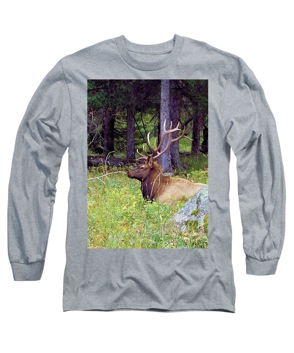  Long Sleeve T-Shirt featuring the photograph Elk I by Karen Stansberry