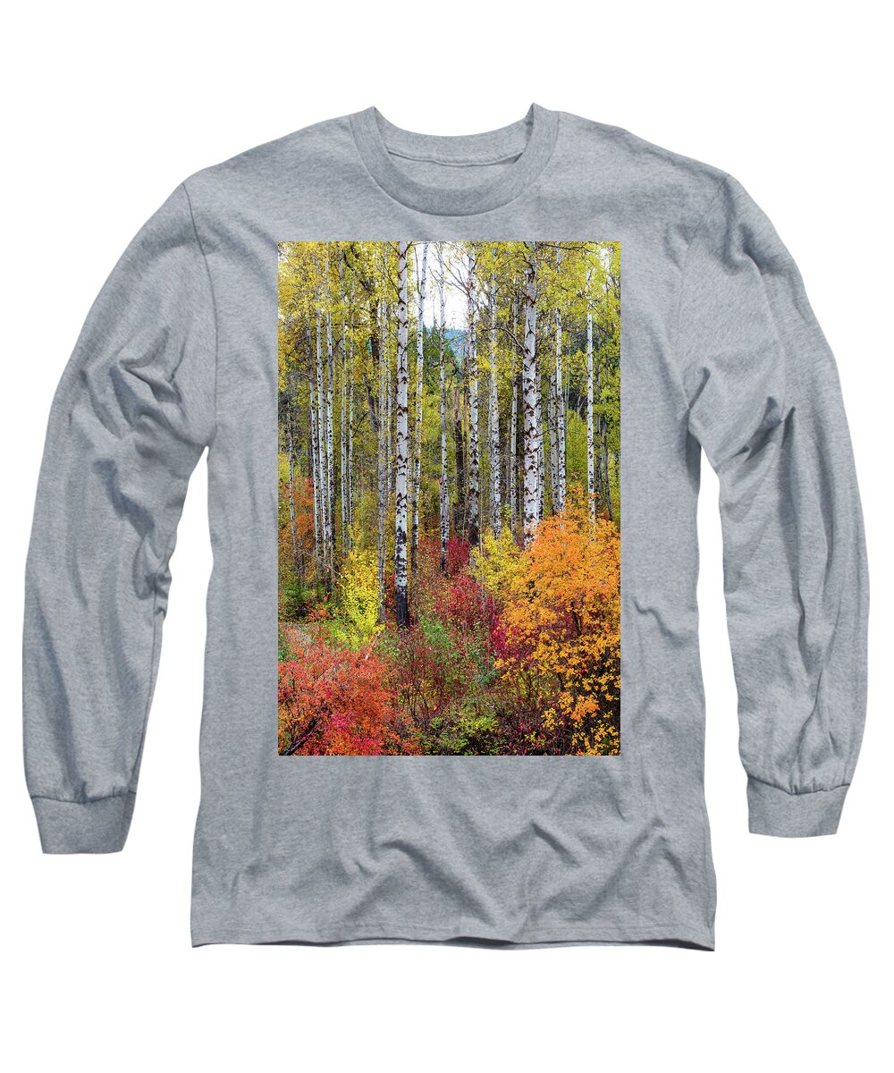 Outdoor; Fall; Colors; Birch; Tree; Autumn; Cascade; Washington Beauty; Pacific North West; Washington; Washington State Long Sleeve T-Shirt featuring the digital art Fall Birchwood #2 by Michael Lee