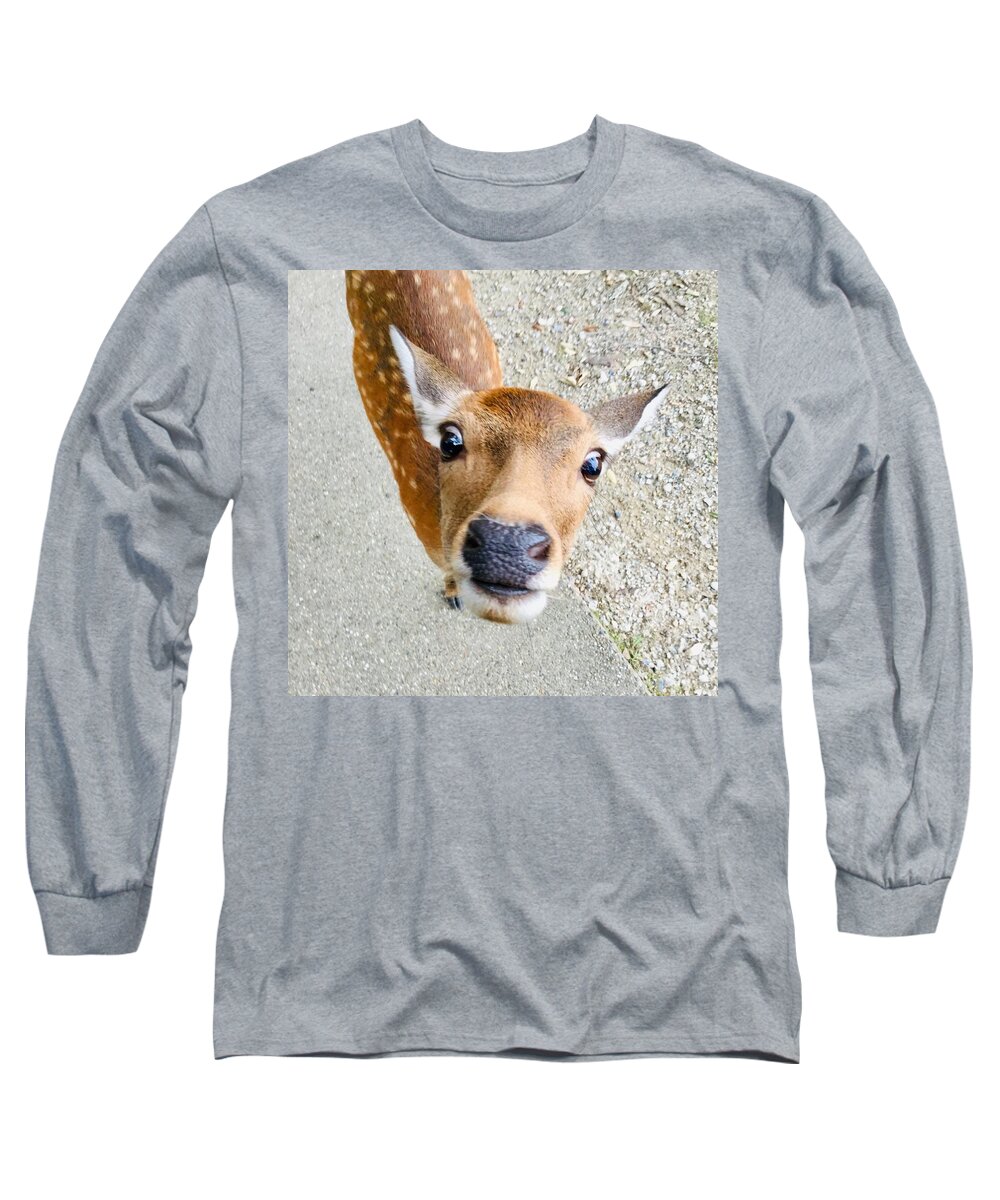 Deer Long Sleeve T-Shirt featuring the photograph Funny deer #2 by Batabatabat Batayan