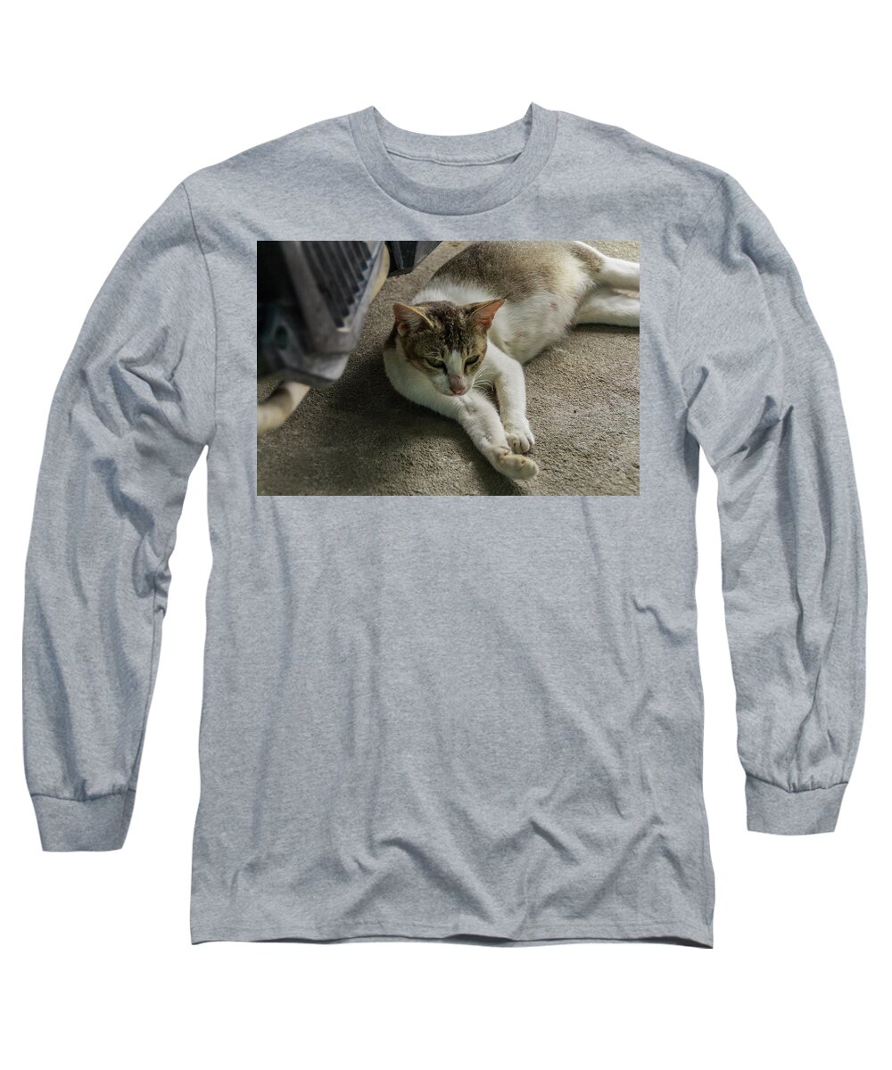 Beautiful Long Sleeve T-Shirt featuring the photograph A Beautiful Female Cat #6 by Mangge Totok