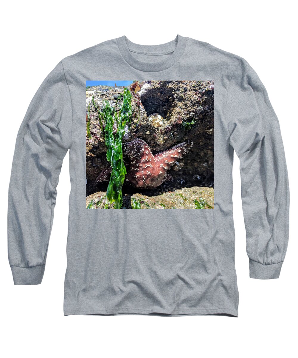 Sea Long Sleeve T-Shirt featuring the photograph A Starfish is Born by Misty Morehead