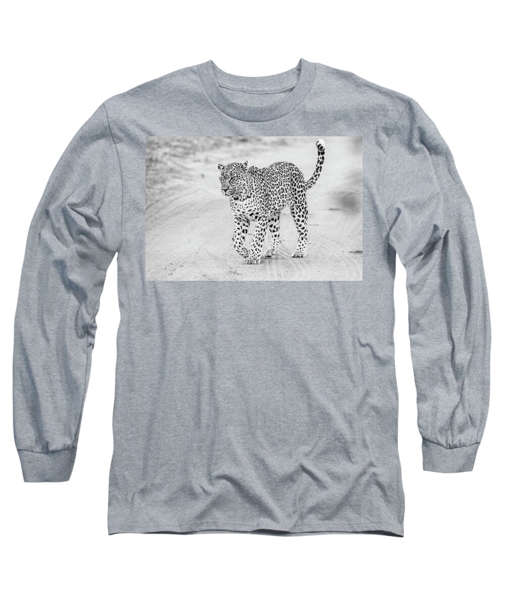 Leopard Long Sleeve T-Shirt featuring the photograph Black and white leopard walking on a road by Mark Hunter