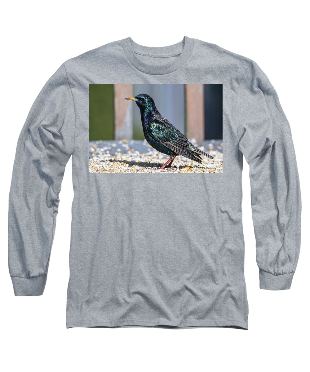 Starling Long Sleeve T-Shirt featuring the photograph Bright Colors of the Starling Bird by Sandra J's