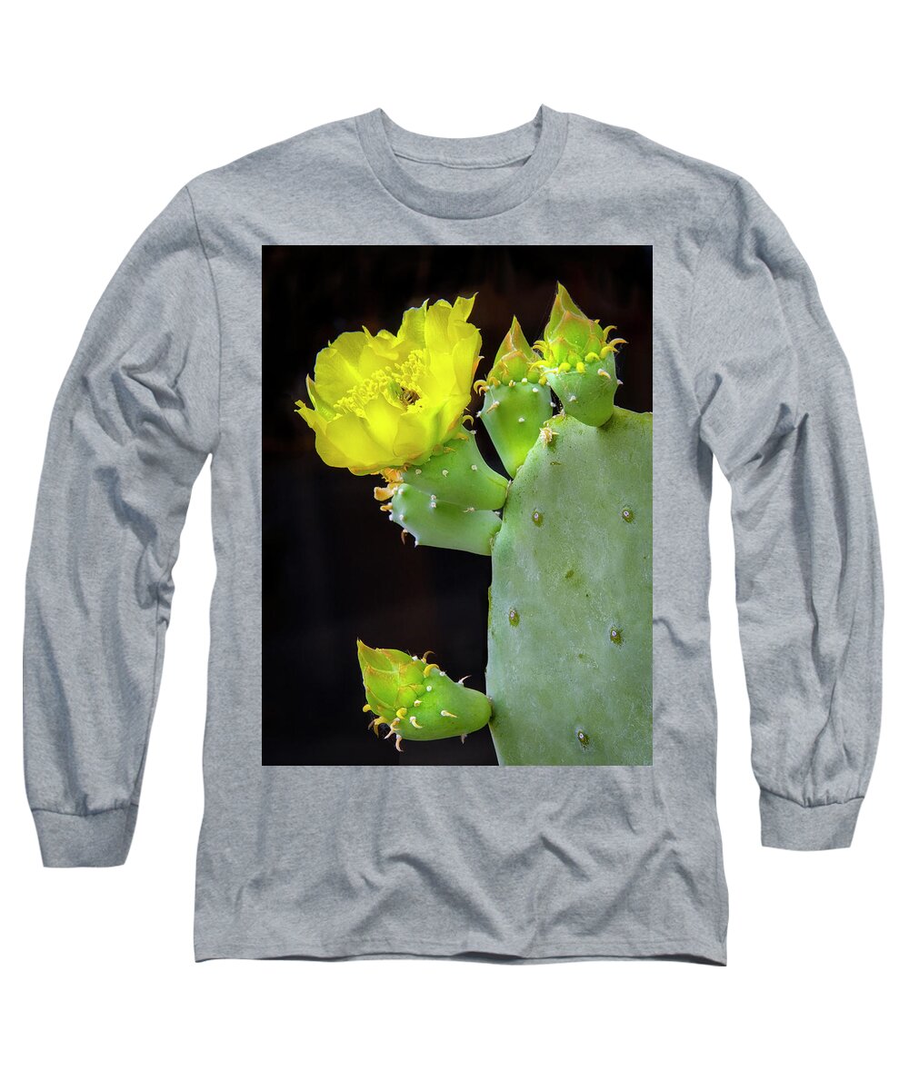 Texas Long Sleeve T-Shirt featuring the photograph Texas Cactus Blooms With Bee II by Harriet Feagin