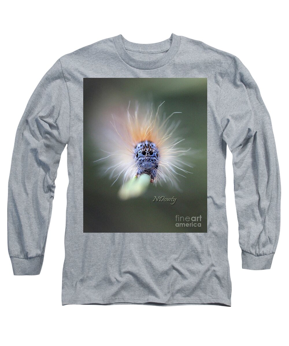  Long Sleeve T-Shirt featuring the photograph Caterpillar Face by Natalie Dowty