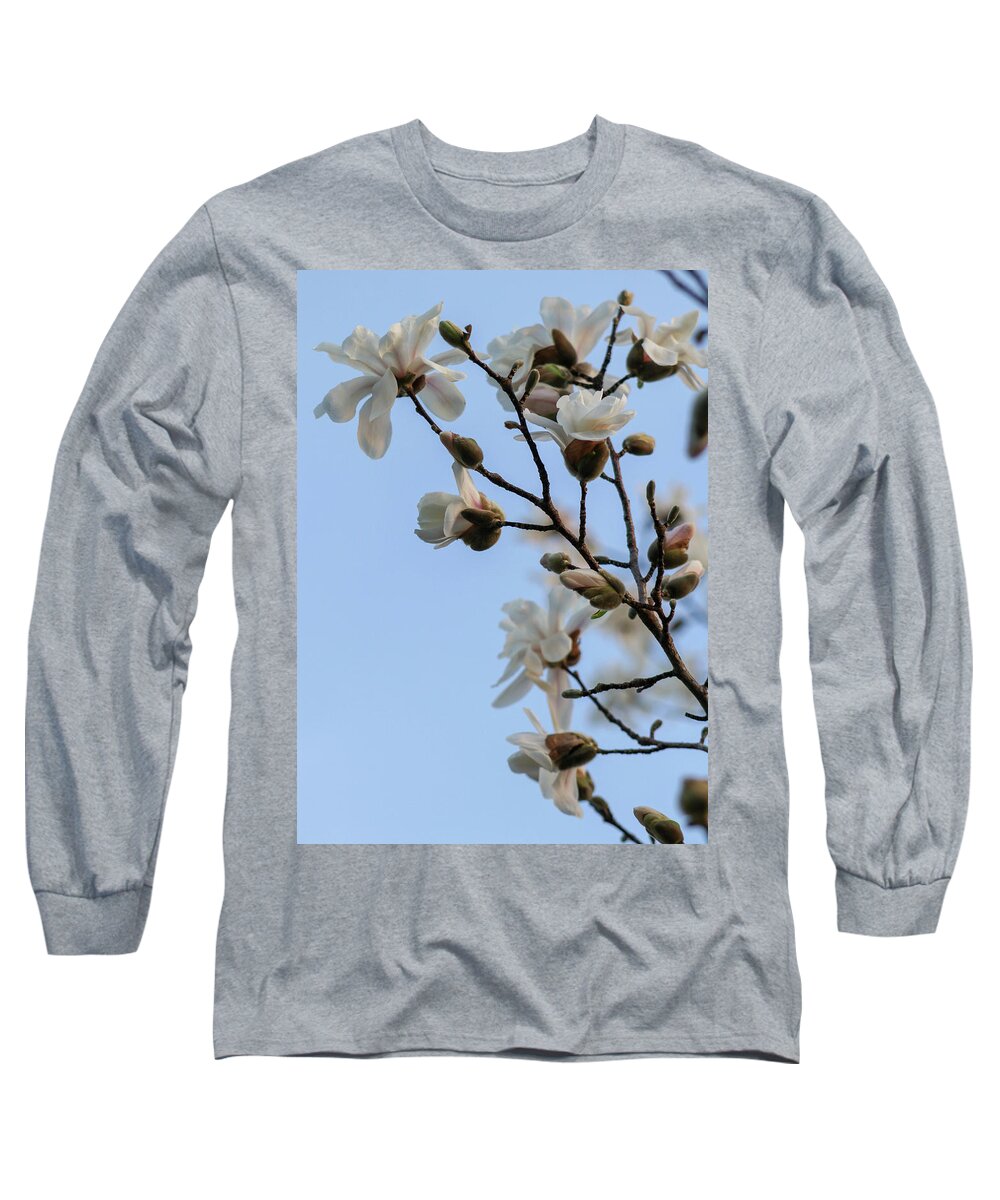 Magnolia Long Sleeve T-Shirt featuring the photograph Magnolias in the Sky by Mary Anne Delgado