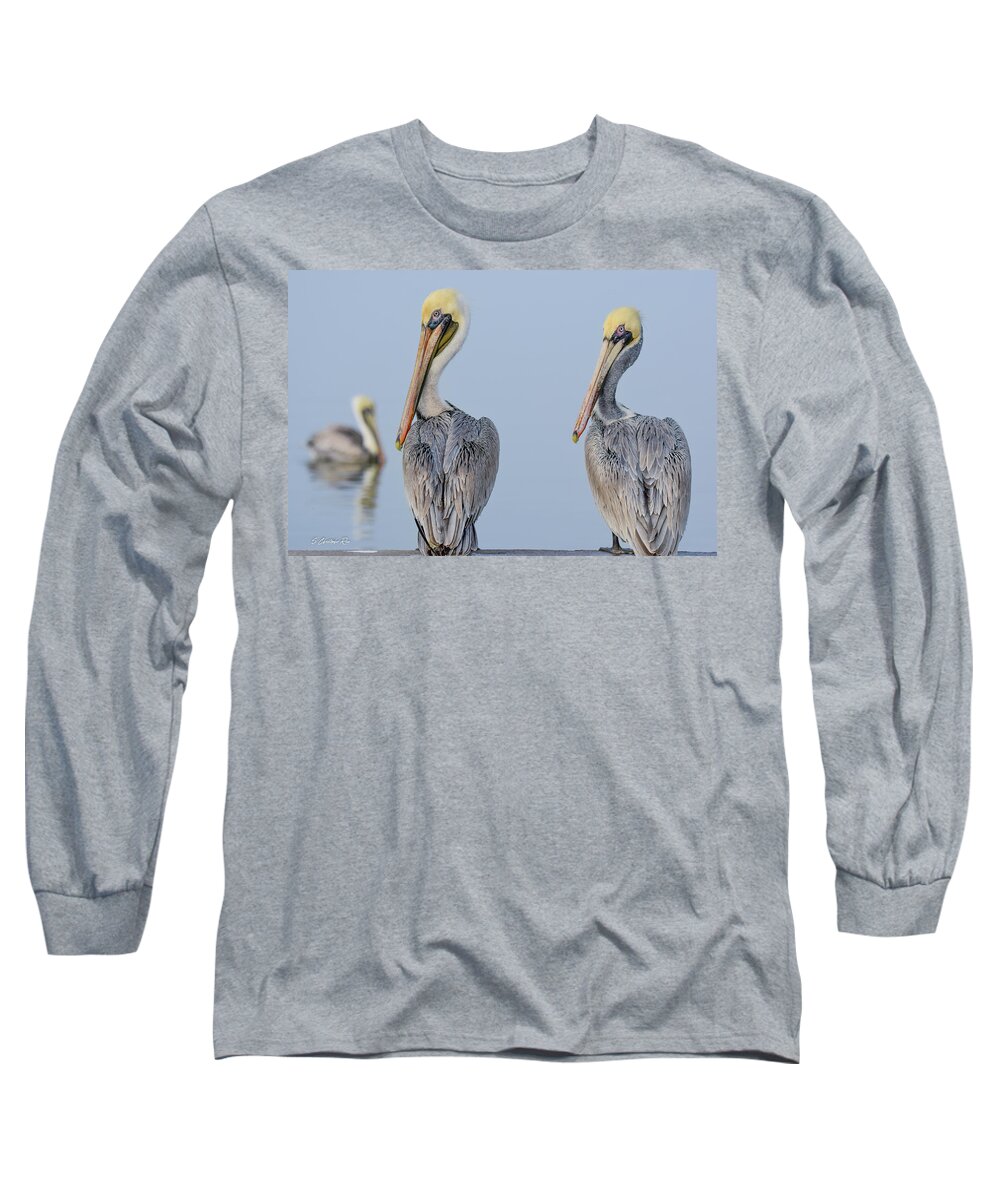 Brown Long Sleeve T-Shirt featuring the photograph Double Your Fun by Christopher Rice