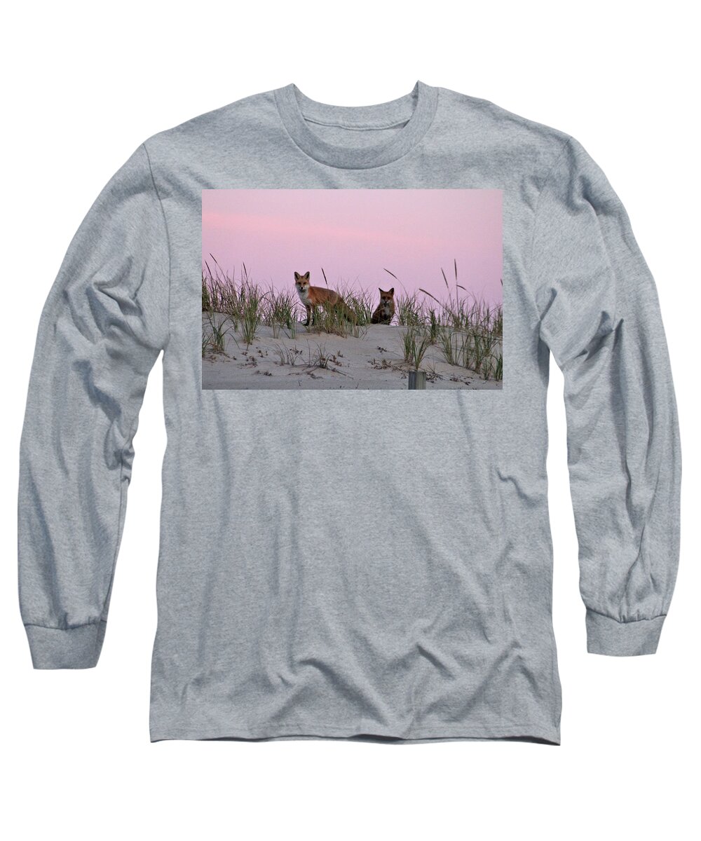 Animals Long Sleeve T-Shirt featuring the photograph Dune Foxes by Robert Banach