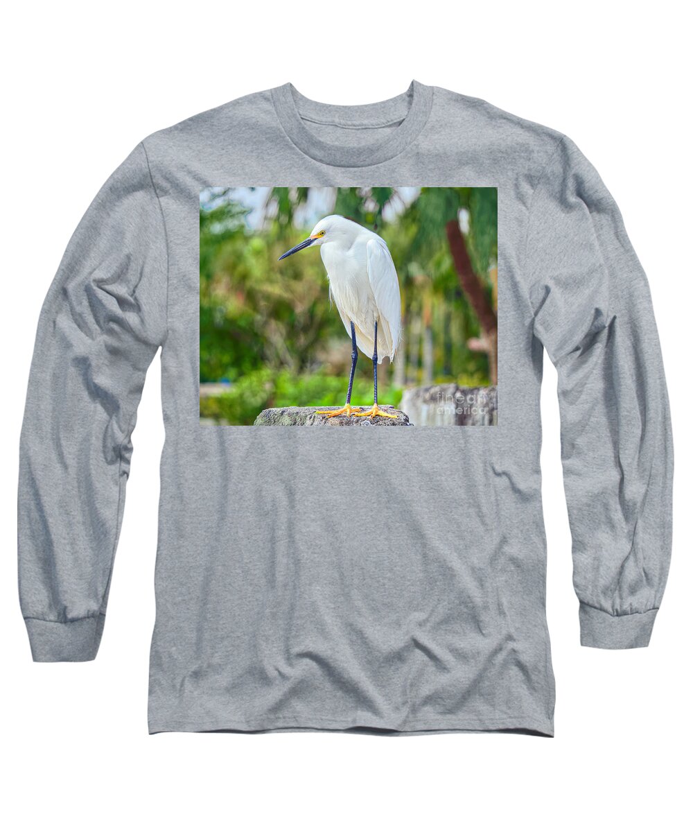 Everglades Birds Long Sleeve T-Shirt featuring the photograph Egret Under the Palms by Judy Kay