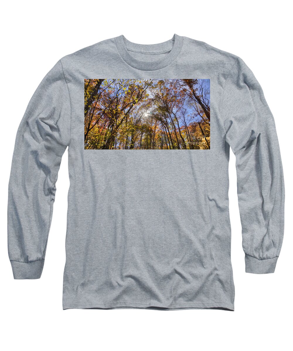Trees Long Sleeve T-Shirt featuring the photograph End of Summer by Jeremy Lankford
