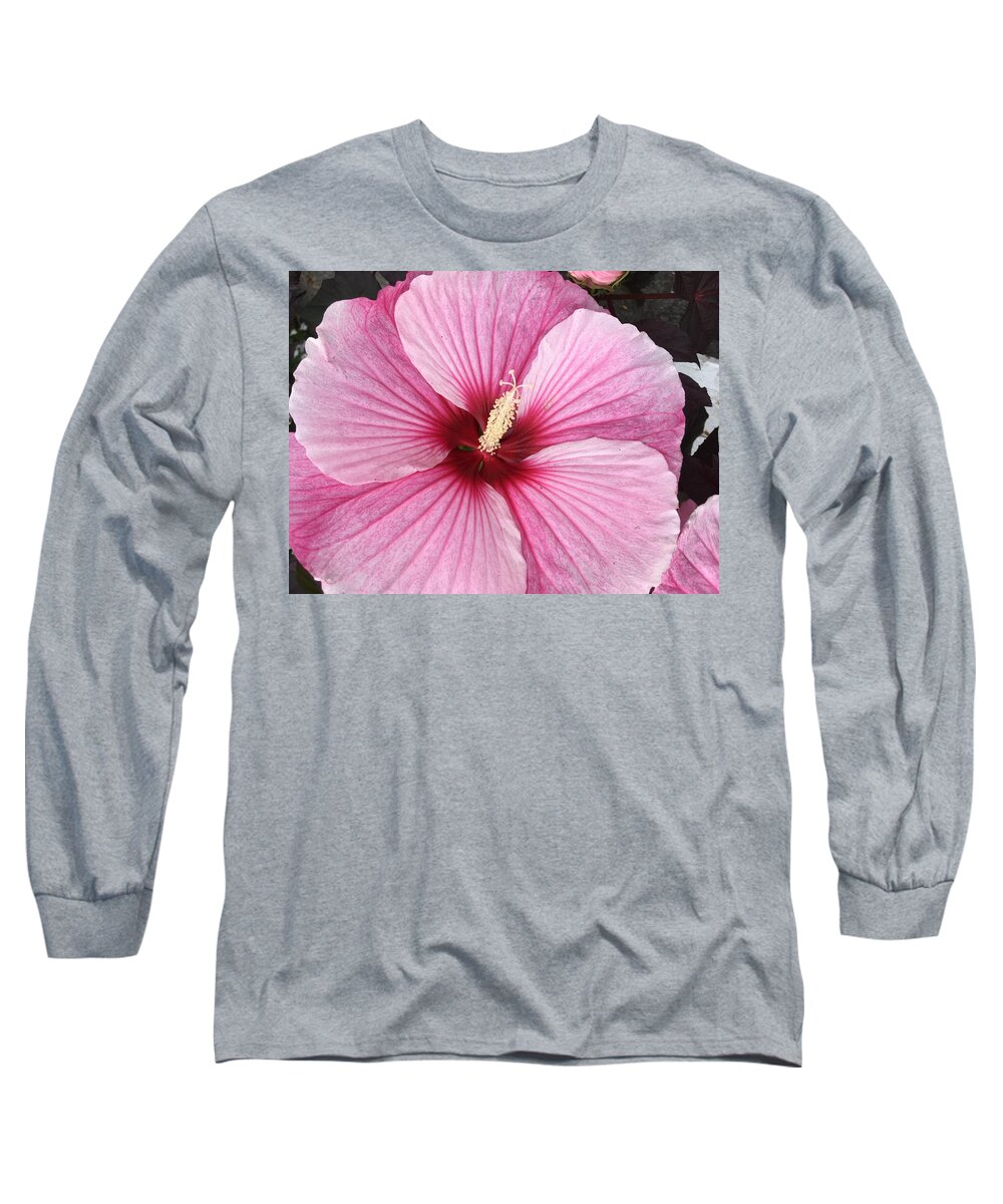 Hibiscus Long Sleeve T-Shirt featuring the photograph Fuschia Fantastic by Anjel B Hartwell