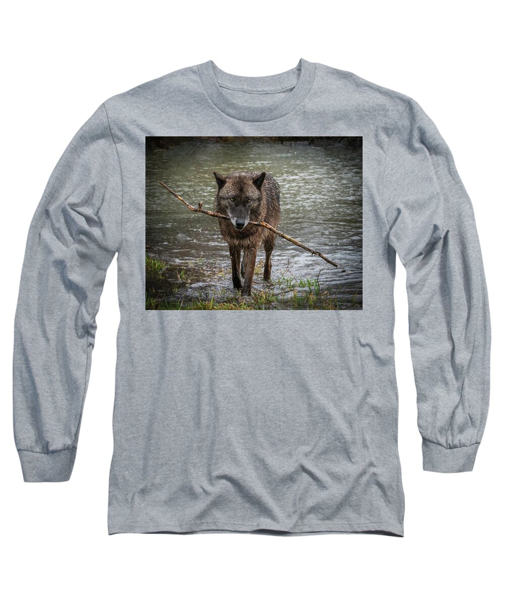 Black Wolf Wolves Long Sleeve T-Shirt featuring the photograph Got the Stick by Laura Hedien