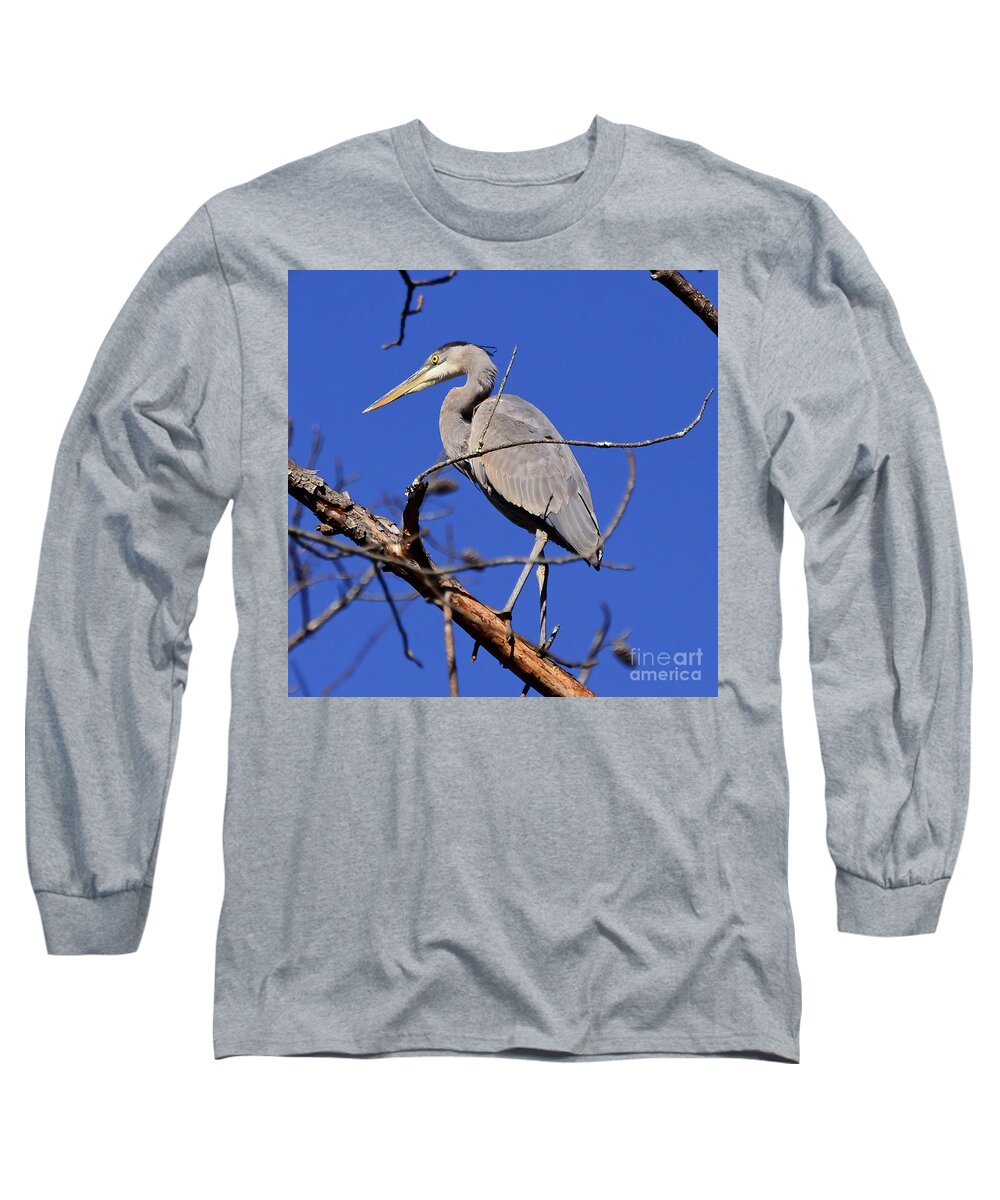 Great Blue Heron Long Sleeve T-Shirt featuring the photograph Great Blue Heron Strikes A Pose by Kerri Farley