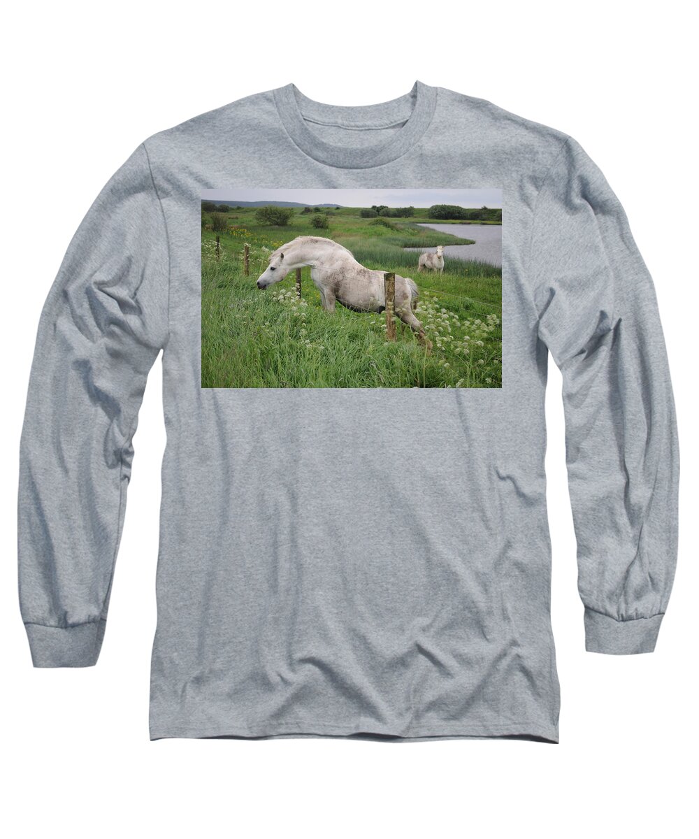 Welsh Pony Long Sleeve T-Shirt featuring the photograph Greener Grass by Jack Harries