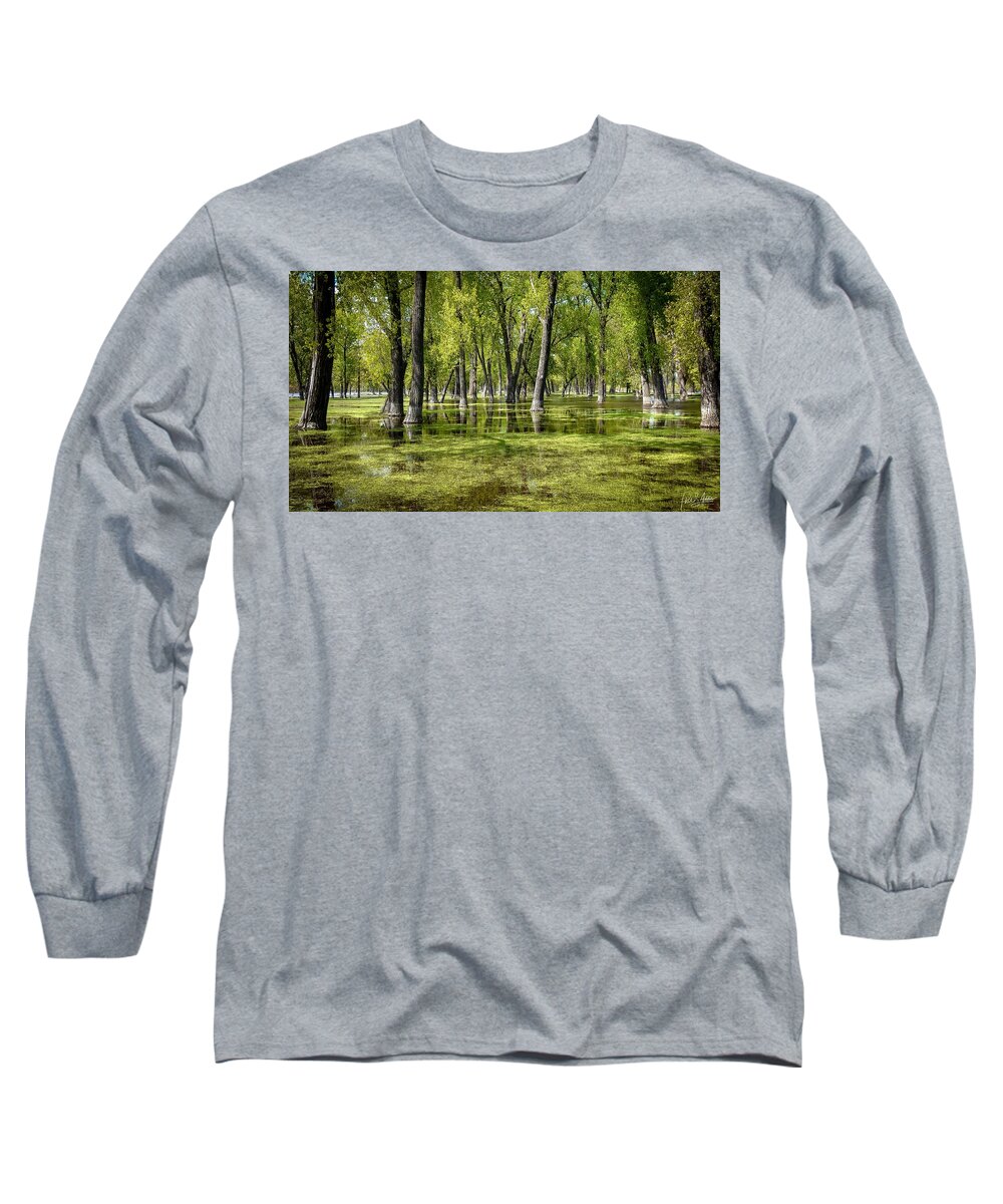 Green Long Sleeve T-Shirt featuring the photograph Greenville by Phil S Addis