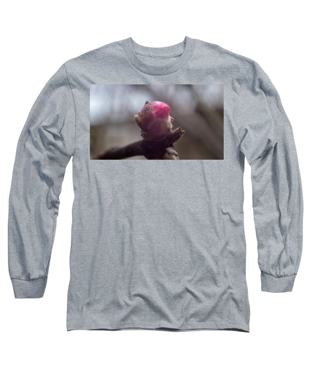 Flower Long Sleeve T-Shirt featuring the photograph Greeting Mister Bud by Ivars Vilums
