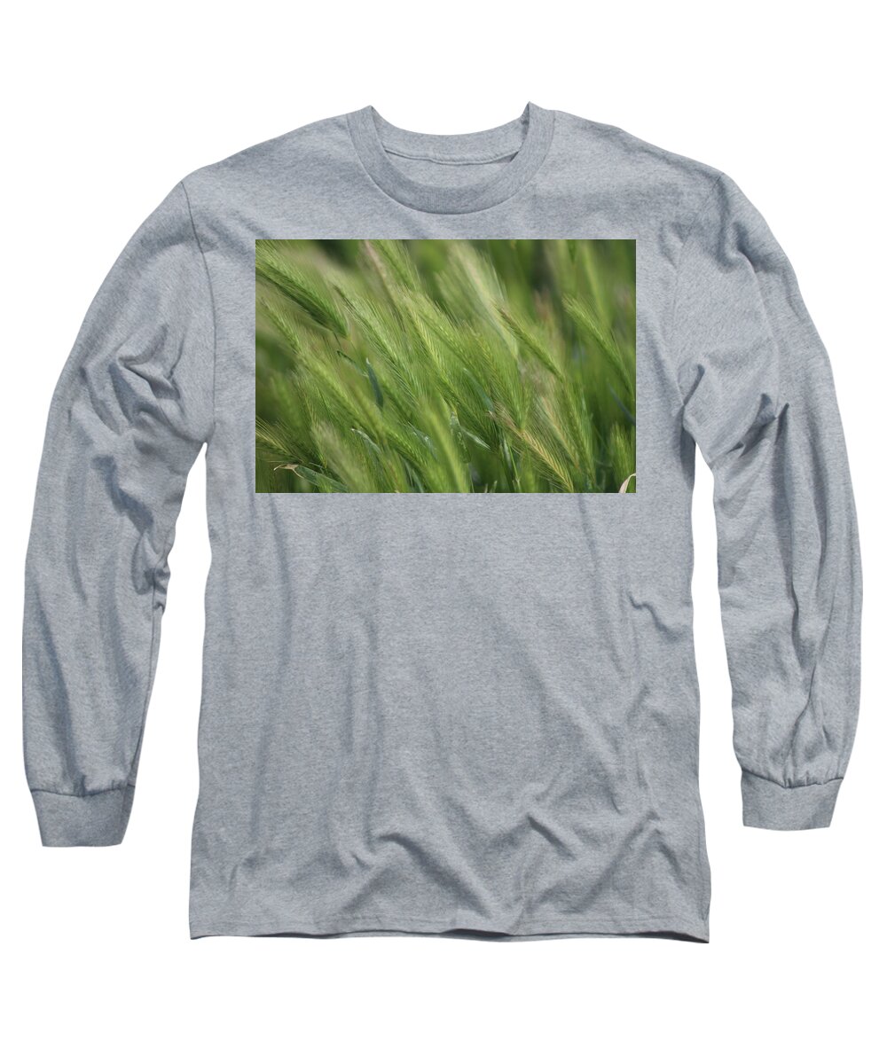 Hayseed Long Sleeve T-Shirt featuring the photograph Hayseed Heads Wild Grass Utah in Rainforest Green by Colleen Cornelius
