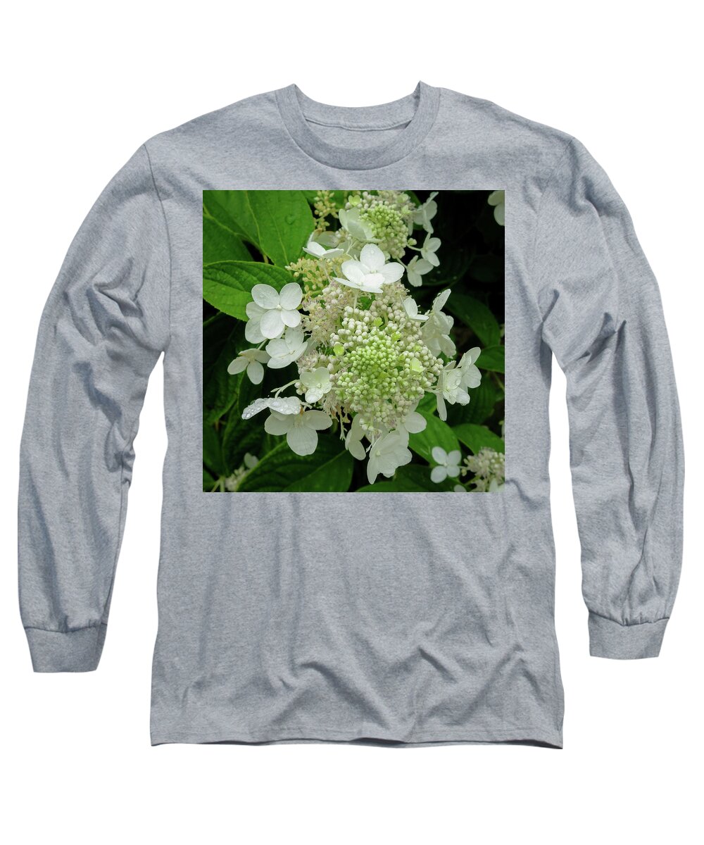 Elaine's Long Sleeve T-Shirt featuring the photograph Hydrangea tree blossoms by David Coblitz