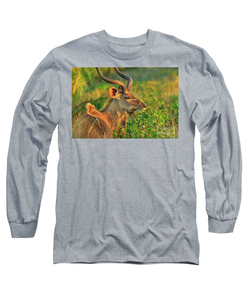 Kudu Long Sleeve T-Shirt featuring the photograph Kudu Male Portrait by Benny Marty