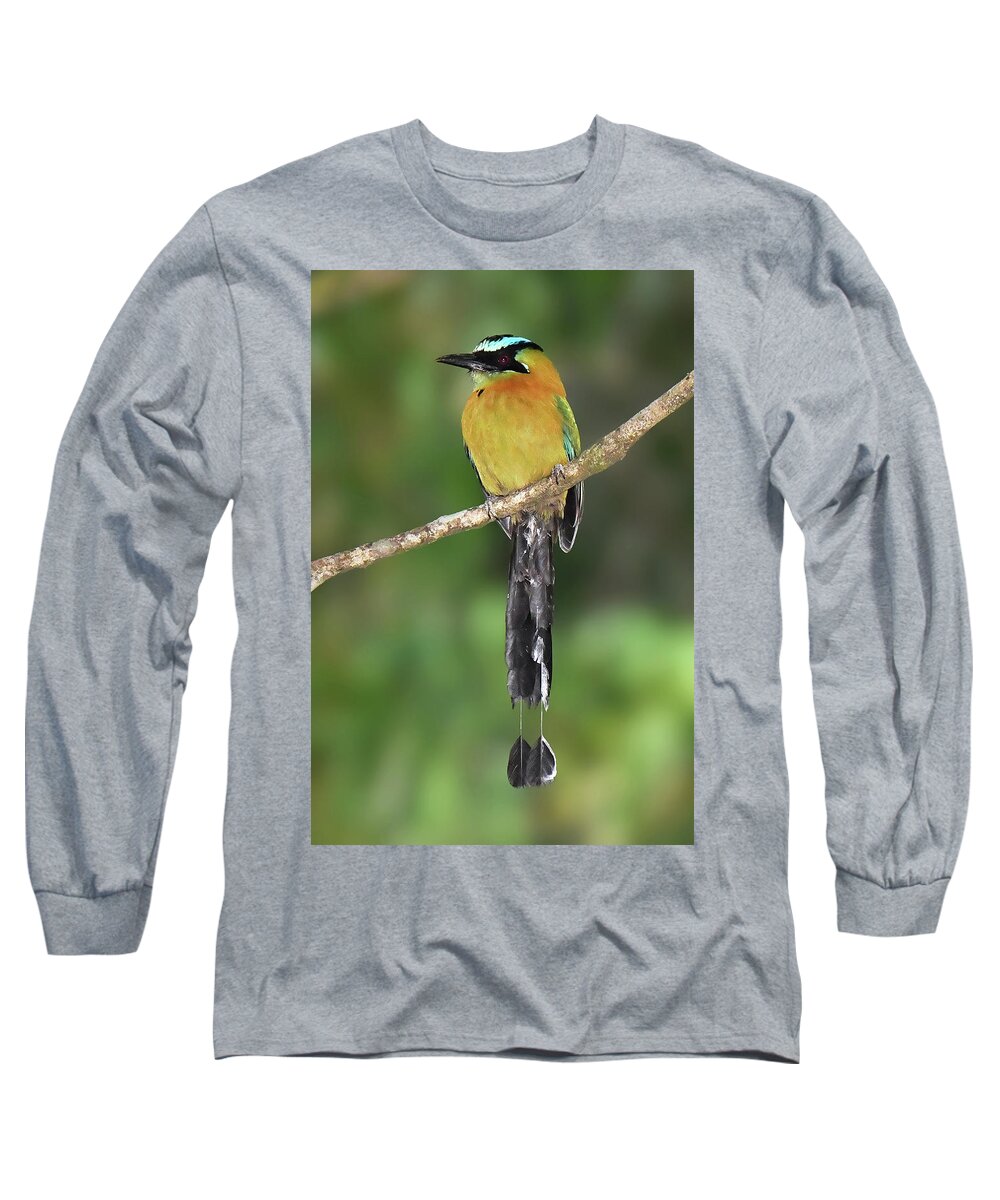 Neotropical Bird Long Sleeve T-Shirt featuring the photograph Lesson's Motmot by Alan Lenk