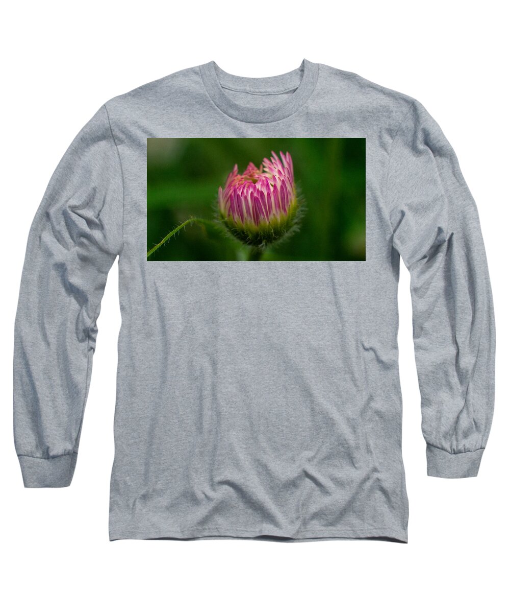 Flower Long Sleeve T-Shirt featuring the photograph Life Energy by Ivars Vilums