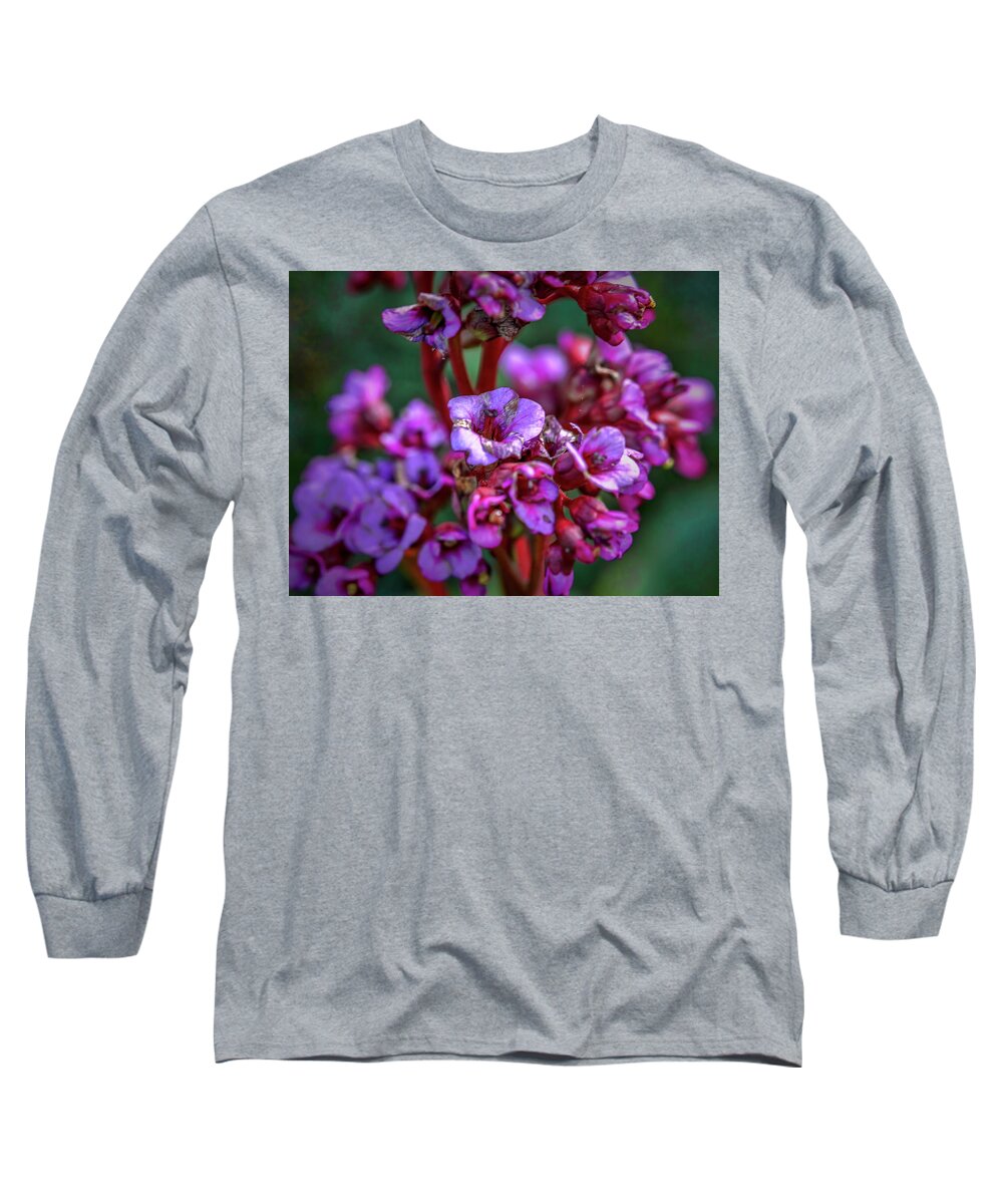 Leif Sohlman Long Sleeve T-Shirt featuring the photograph Lilac #h9 by Leif Sohlman