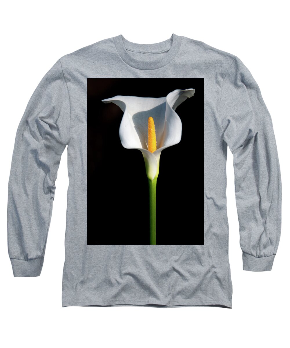 Calla Lily Long Sleeve T-Shirt featuring the photograph Lonely Lily Standing Tall by Marcy Wielfaert