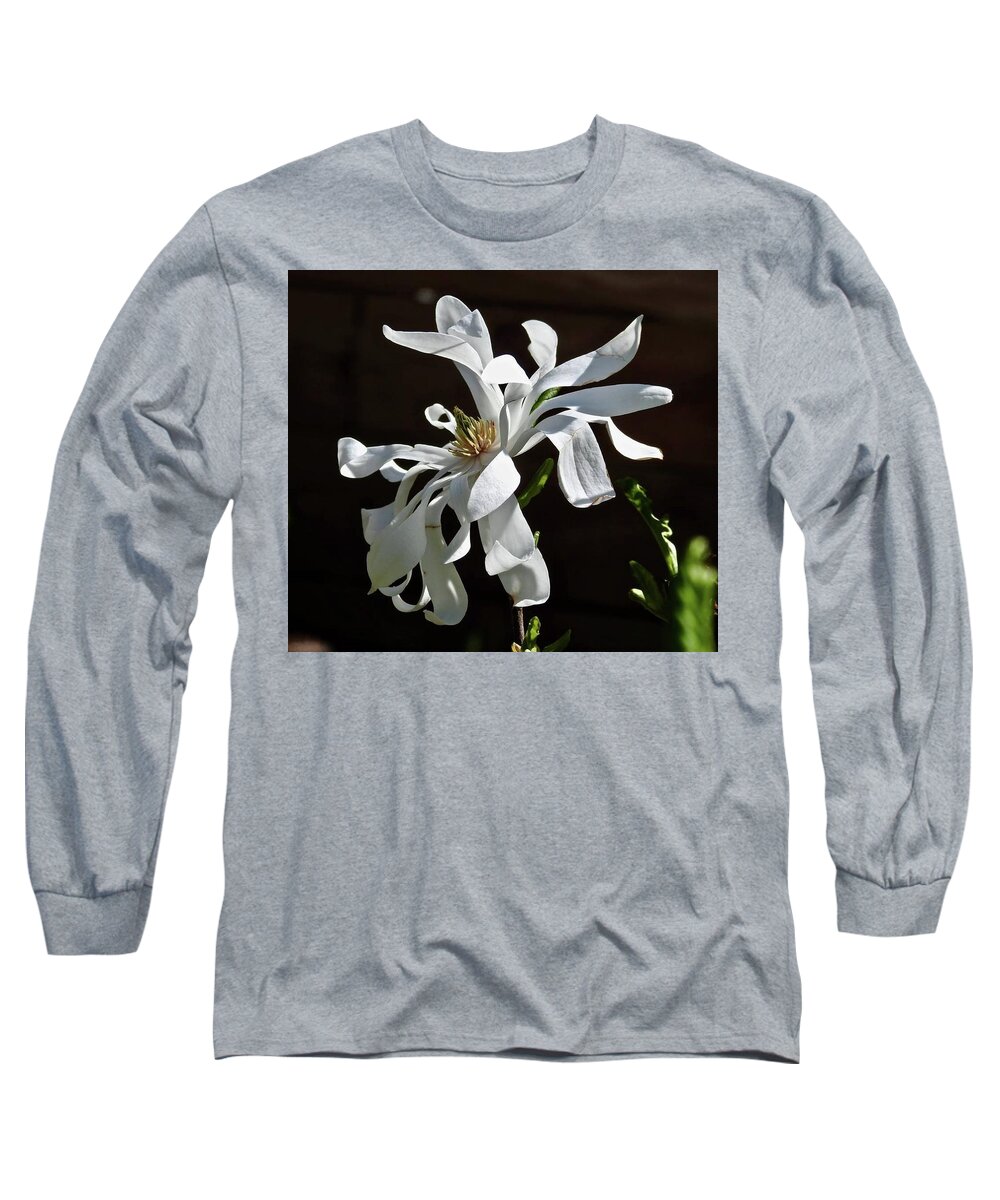 Magnolia Long Sleeve T-Shirt featuring the photograph Magnificent Magnolia by Kathy Chism