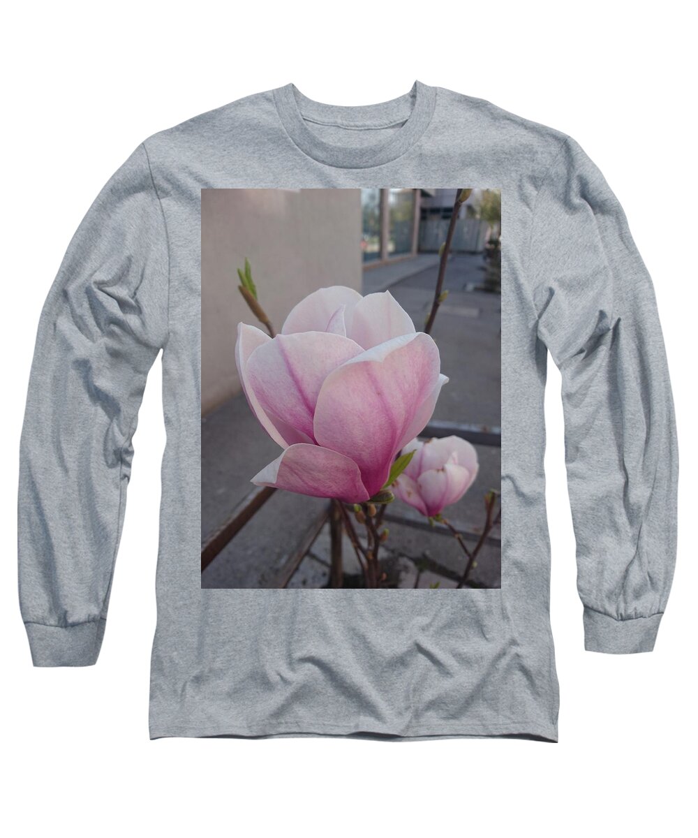  Long Sleeve T-Shirt featuring the photograph Magnolia by Anzhelina Georgieva