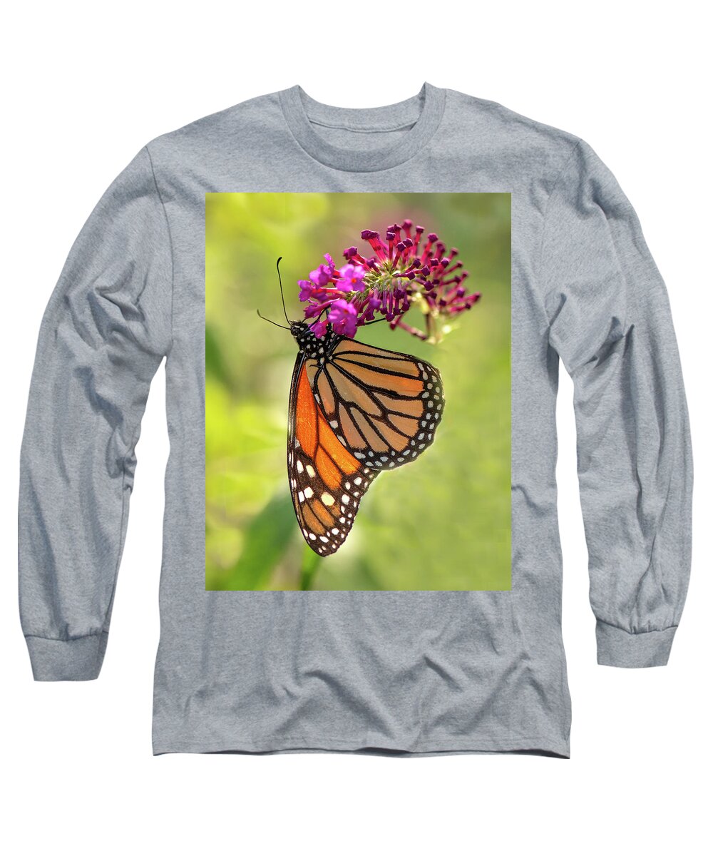 Monarch Long Sleeve T-Shirt featuring the photograph Monarch by Minnie Gallman