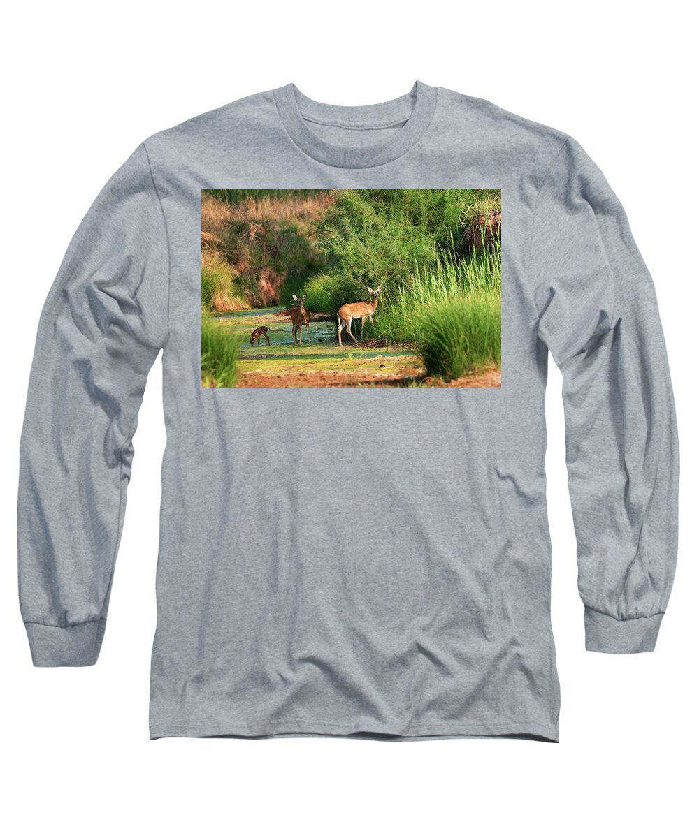Richard E. Porter Long Sleeve T-Shirt featuring the photograph Morning Drink, Color - Deer, Palo Duro Canyon State Park, Texas by Richard Porter