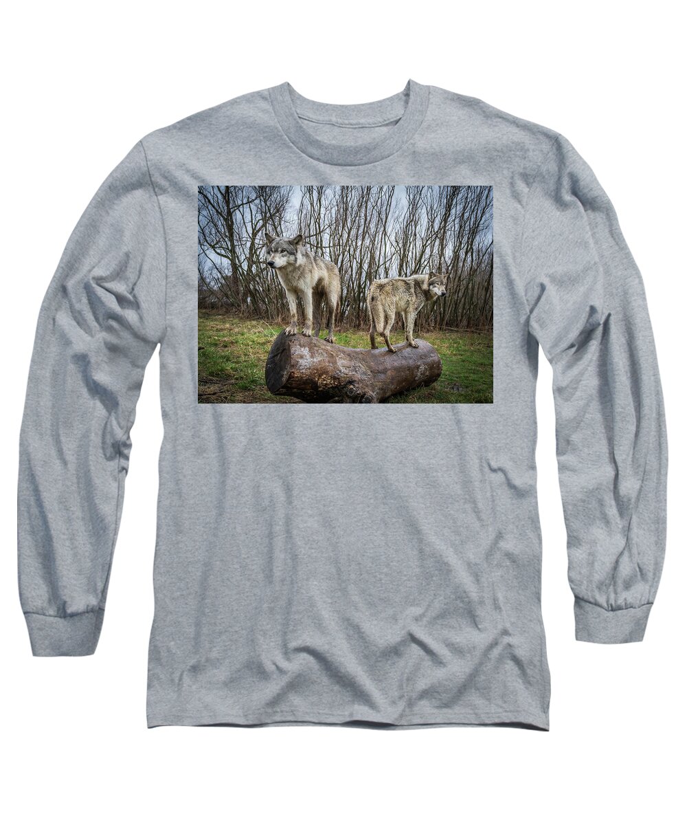Wolves Wolf Long Sleeve T-Shirt featuring the photograph Opposite Ends by Laura Hedien