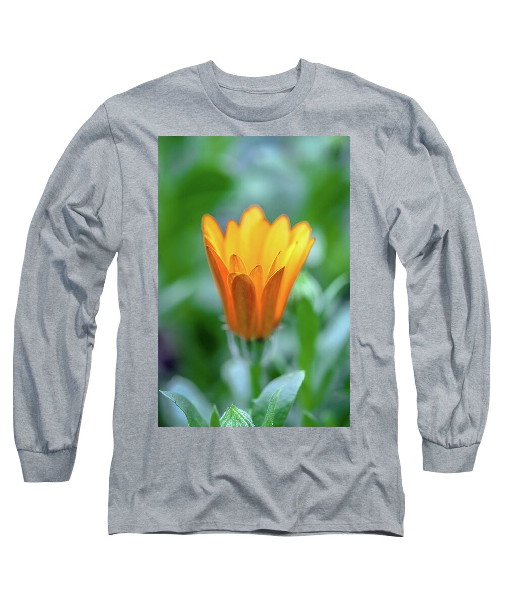 Orange Long Sleeve T-Shirt featuring the photograph Orange Daisy by Susie Weaver