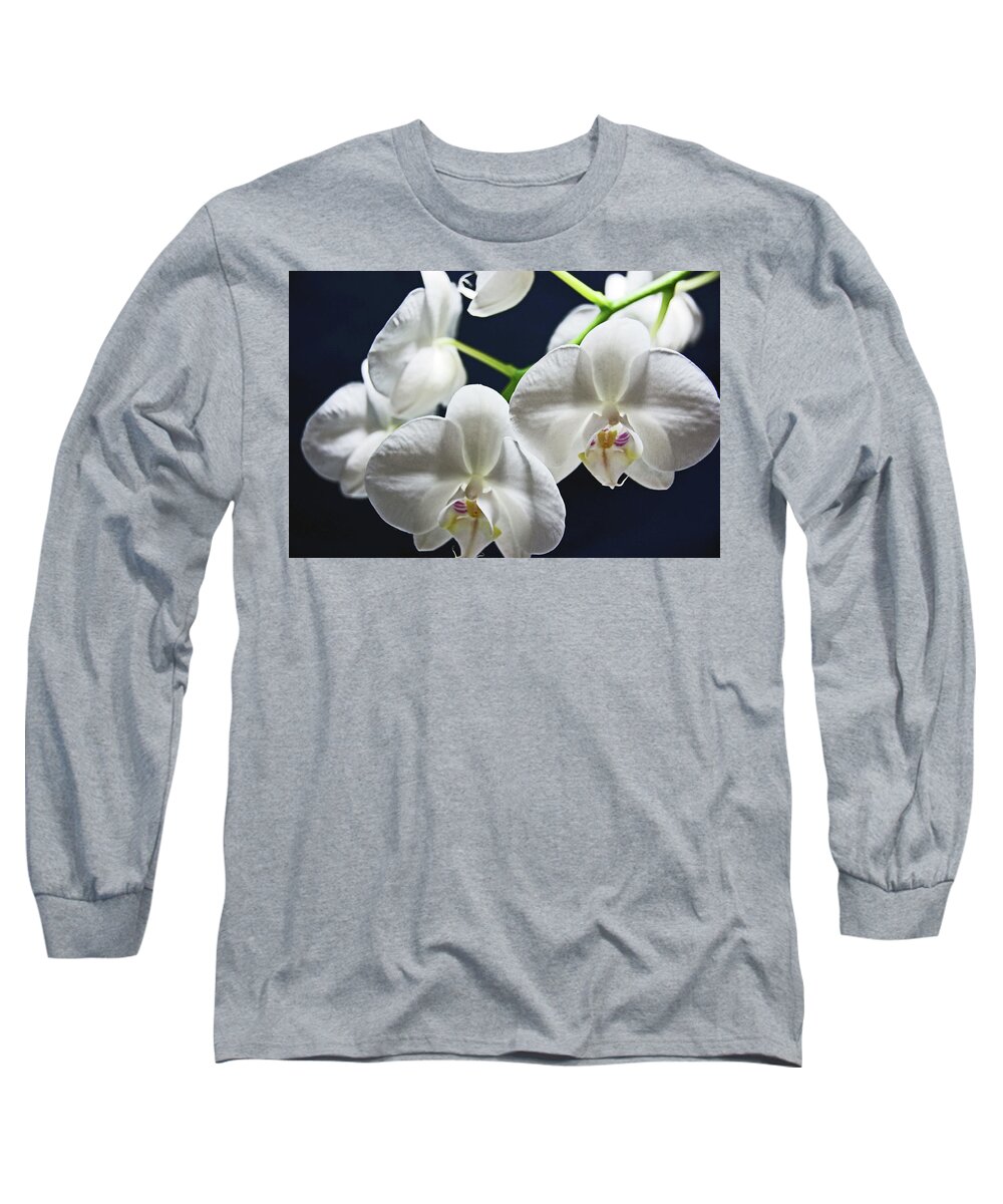 Orchids Long Sleeve T-Shirt featuring the photograph Orchids by Lachlan Main