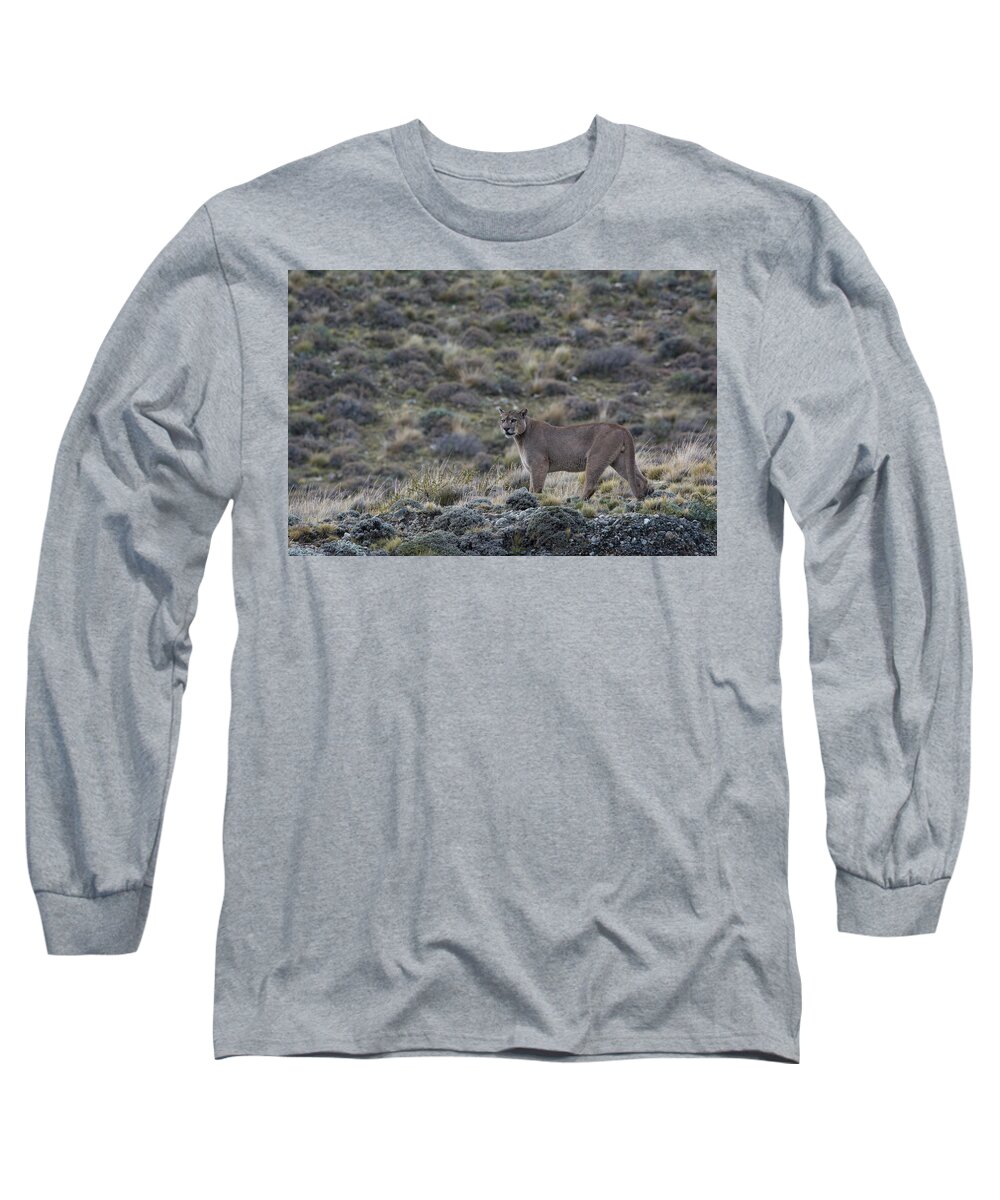 Chile Long Sleeve T-Shirt featuring the photograph Oscuro by Patrick Nowotny