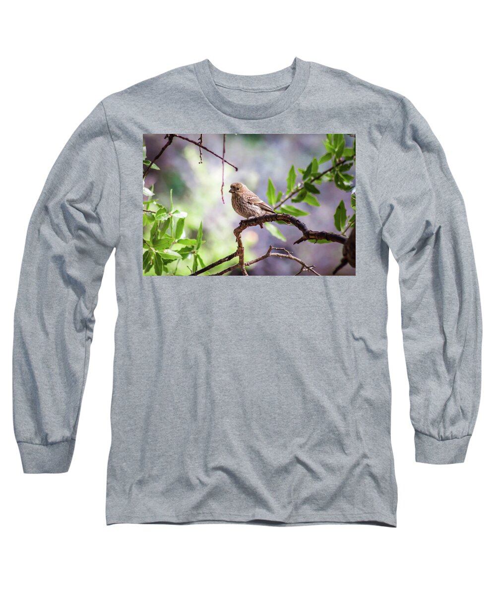 2017 Long Sleeve T-Shirt featuring the photograph Out on a Limb by KC Hulsman