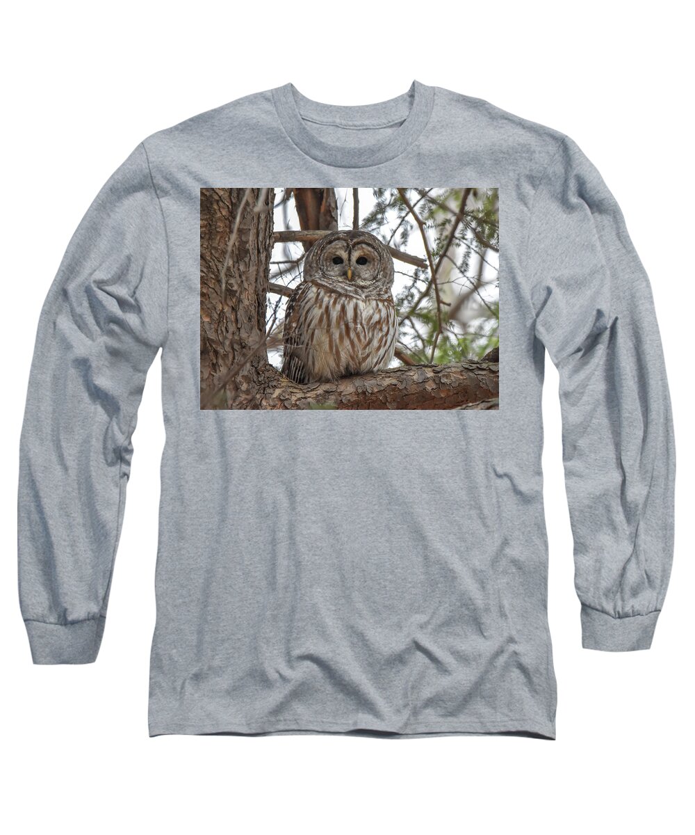 Owl Long Sleeve T-Shirt featuring the photograph Owl in Tree by Michelle Wittensoldner