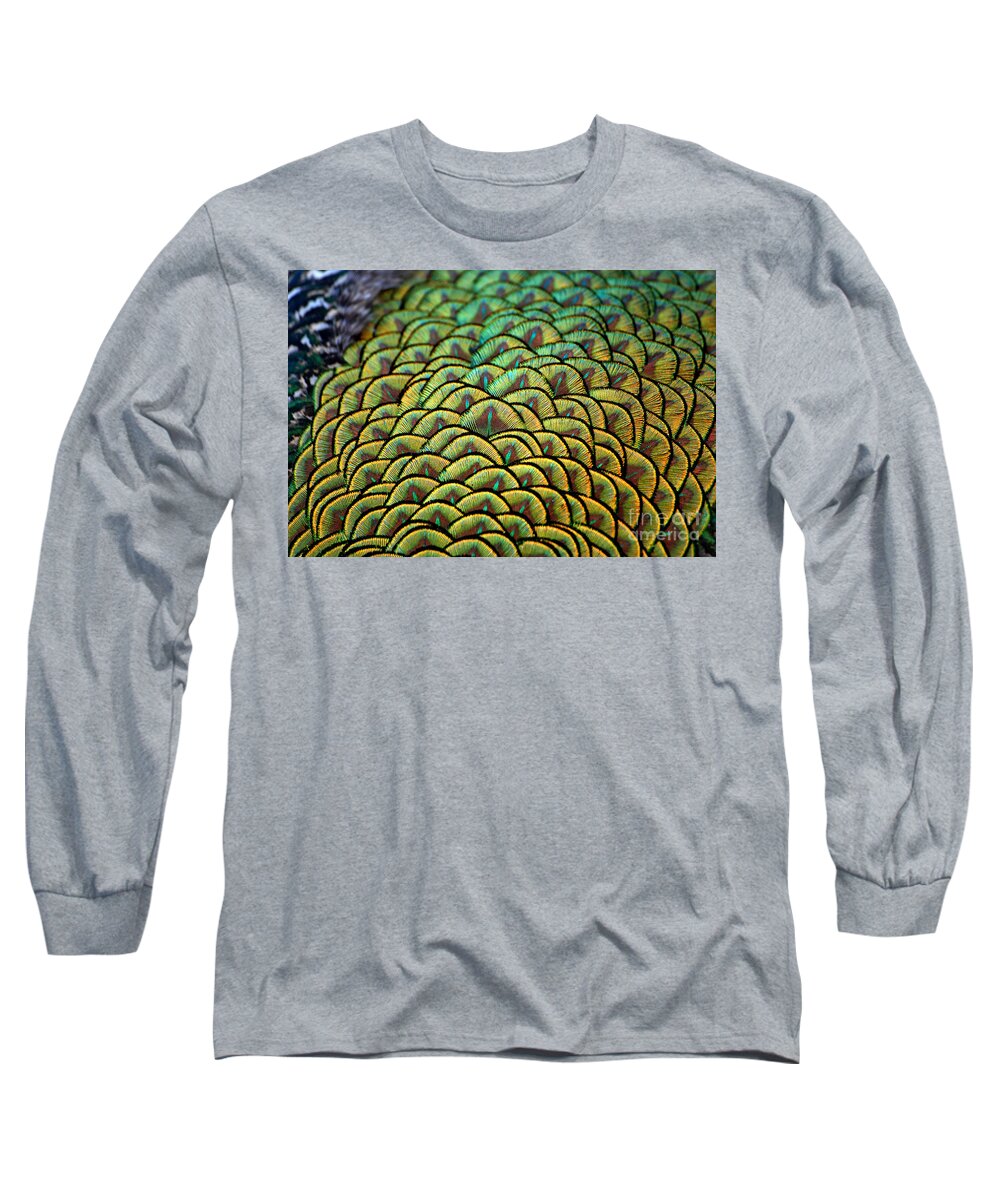Peacock Long Sleeve T-Shirt featuring the photograph Palm Feathers by Lorenzo Cassina