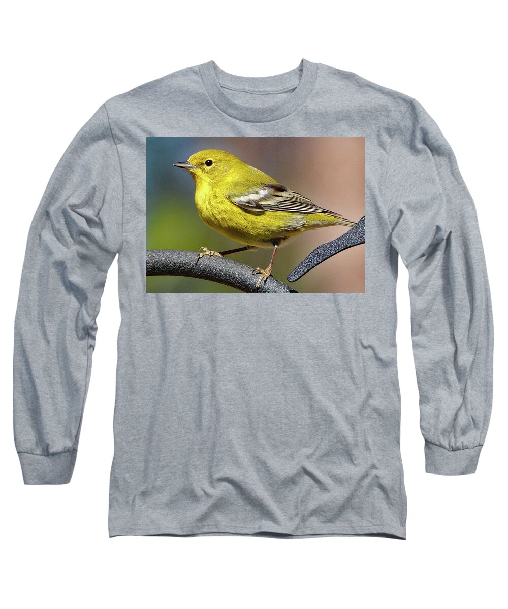 Pine Warbler Long Sleeve T-Shirt featuring the photograph Pine Warbler by Jerry Griffin