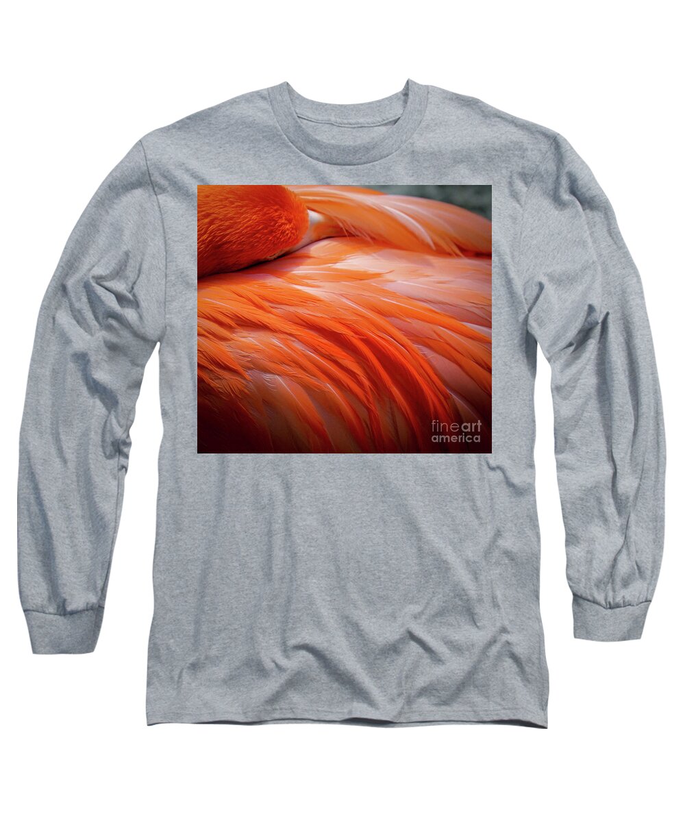 Flamingo Long Sleeve T-Shirt featuring the photograph Pink Feathers by Susan Rydberg