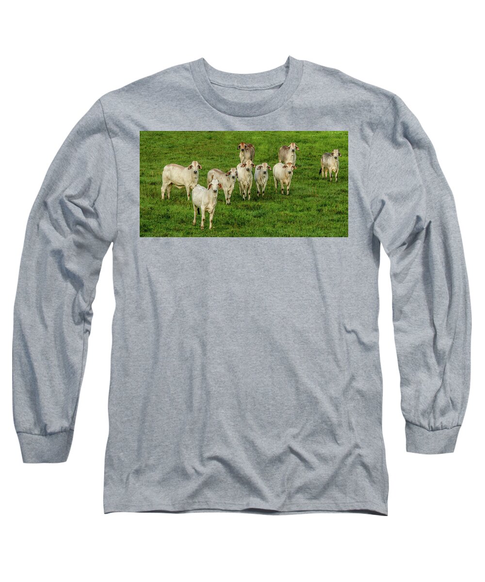 Tennessee Long Sleeve T-Shirt featuring the photograph Please Tell Me You Brought Breakfast by Marcy Wielfaert