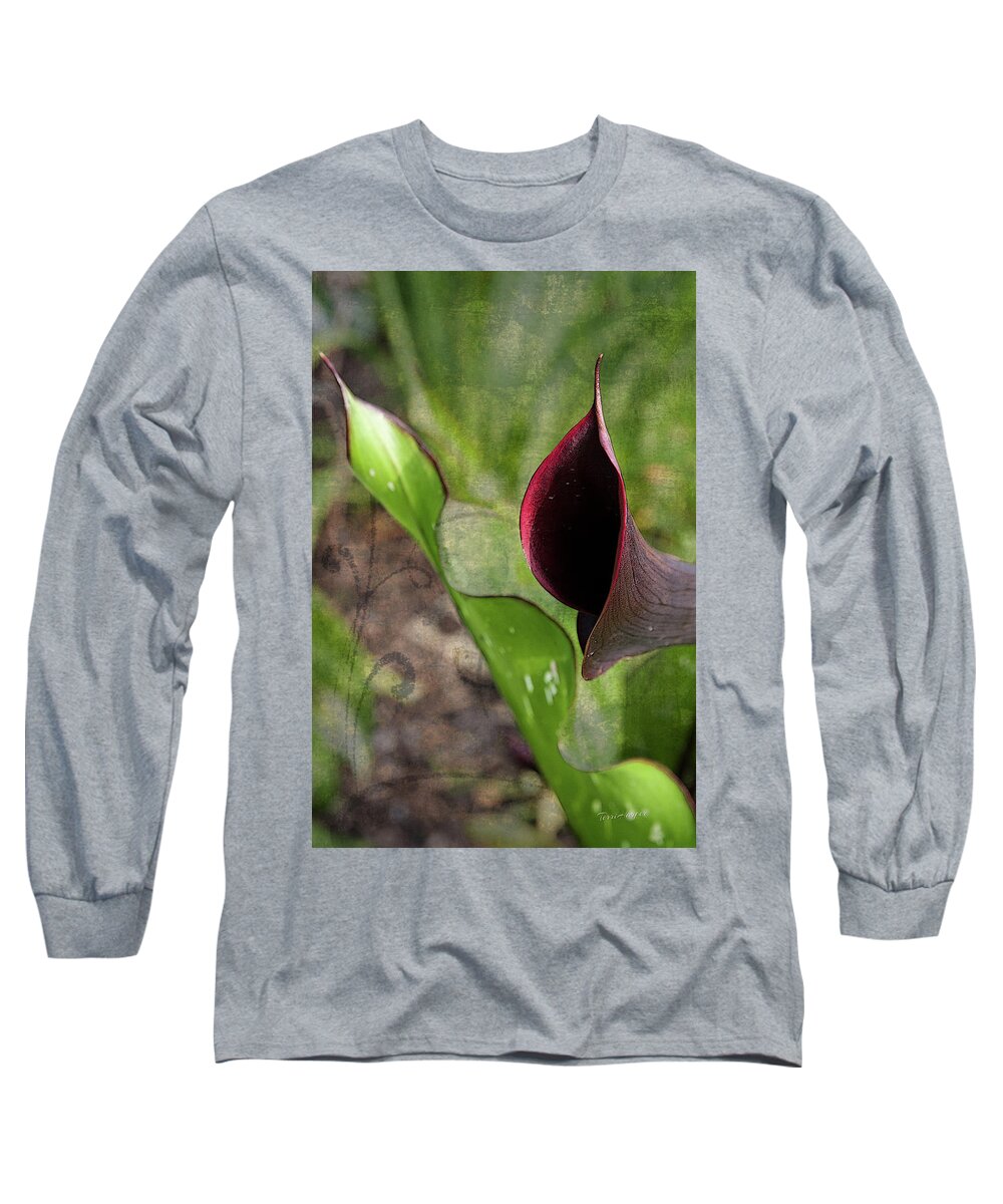 Calla Long Sleeve T-Shirt featuring the photograph Poetry In Motion by Terri Harper