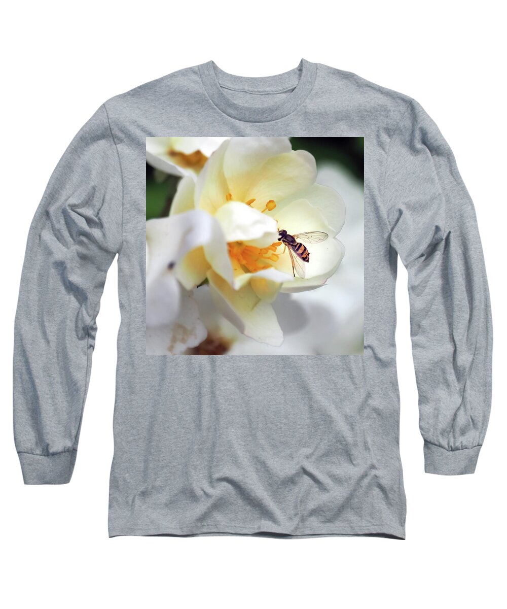 Bee Long Sleeve T-Shirt featuring the photograph Pollinating 3 by C Winslow Shafer