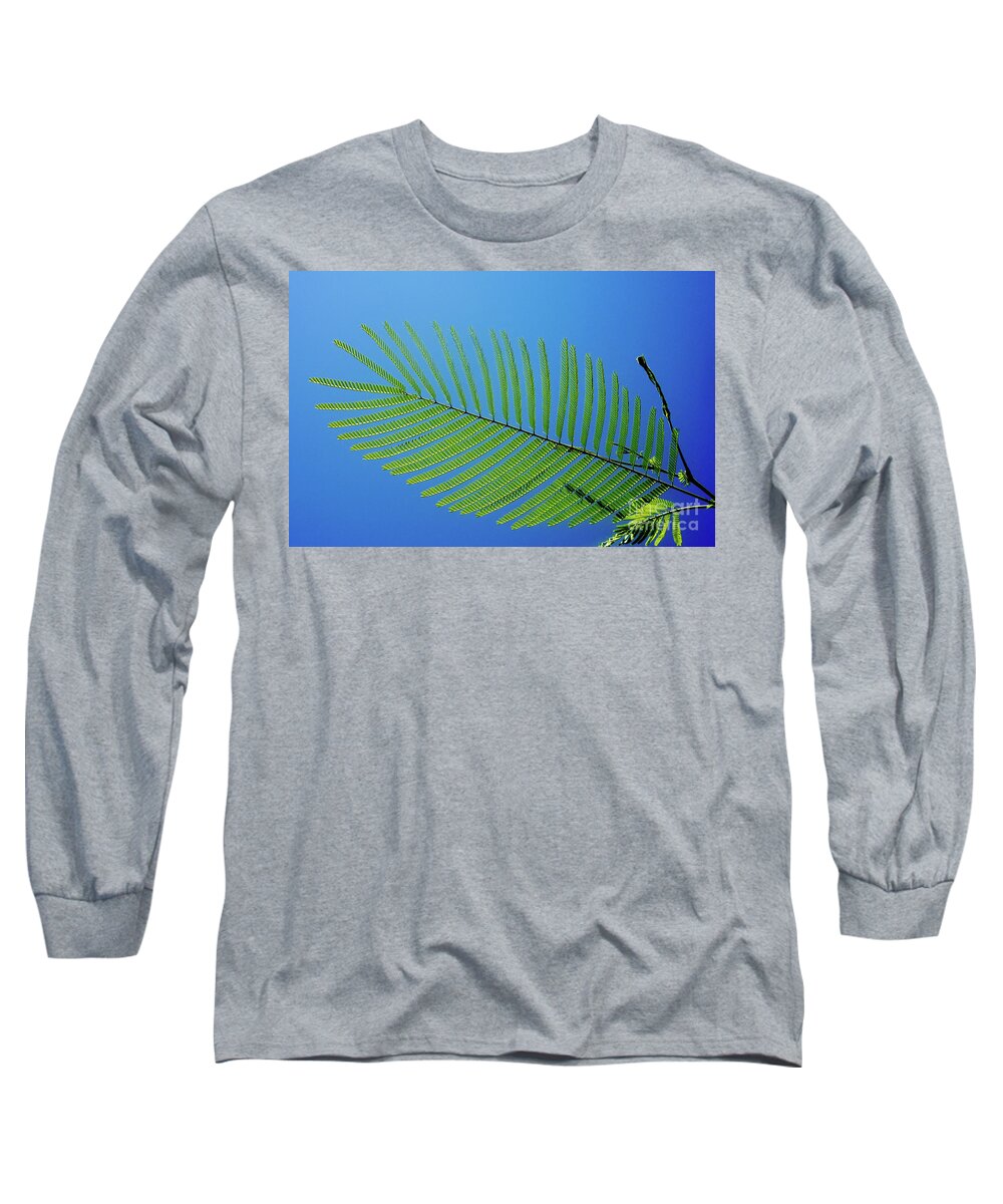 Pond Pine Long Sleeve T-Shirt featuring the photograph Pond Pine_2 by Pics By Tony