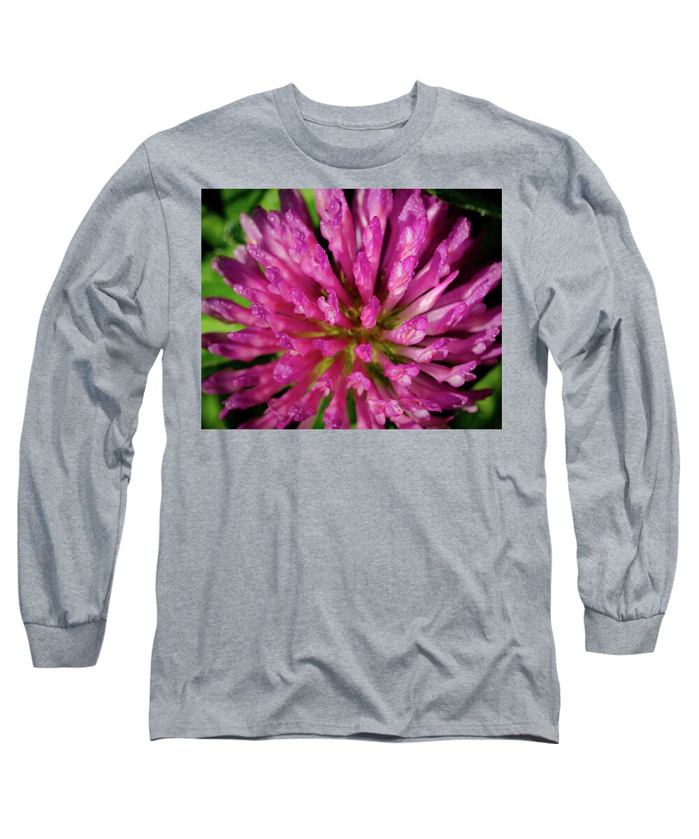 Flower Long Sleeve T-Shirt featuring the photograph Red Clover Flower by Jeff Phillippi