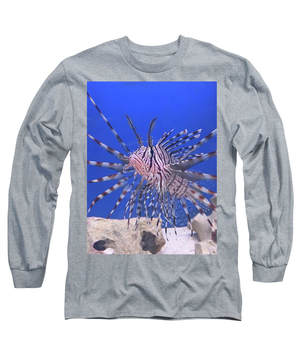 Fish Red Lionfish Long Sleeve T-Shirt featuring the photograph Red Lionfish by Rocco Silvestri